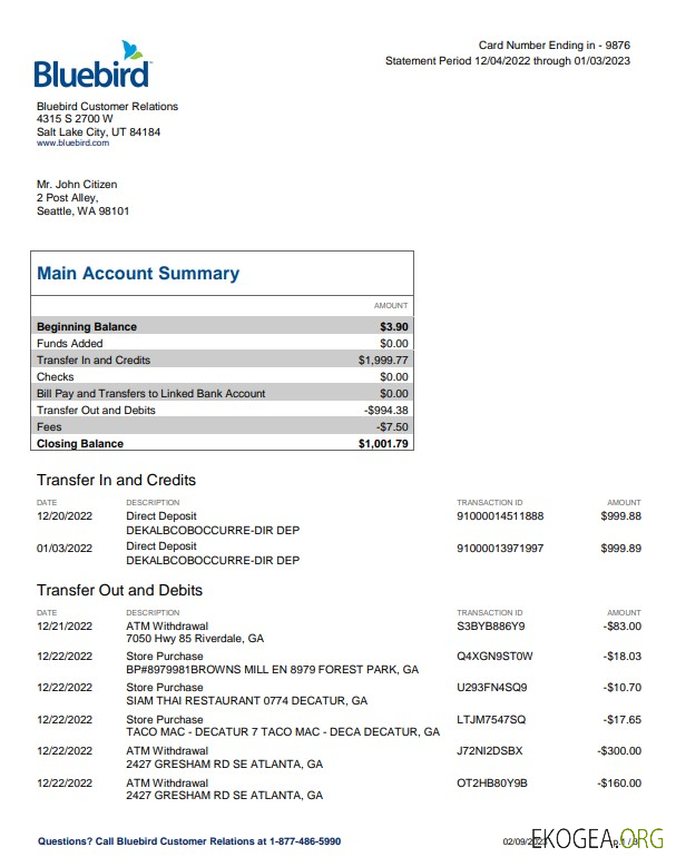 Modèle Word et PDF de relevé bancaire USA Bluebird, 3 pages template Modèle Word et PDF de relevé bancaire USA Bluebird, 3 pages template